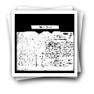 Carta de Pedro Anes do Canto representando ao rei que se mandasse a Armada à ilha Terceira e fosse provida de biscoito pela falta de trigo que havia na ilha até à nova colheita.