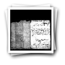 Carta de D. Nuno Álvares Pereira expondo a D. João III os serviços de seu tio D. Francisco, pedindo ao mesmo senhor fizesse alguma mercê a sua mulher e filhas em atenção à pobreza em que ficaram por sua morte.