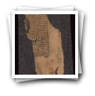 Fragmento de texto impresso em latim