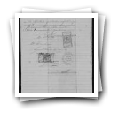 Processo de requerimento de passaporte de Francisca Nunes da Silva